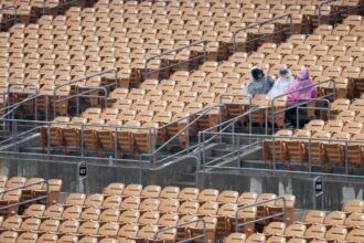 Fans, Camelback Ranch seats, rain delay, 2025 Spring Training
