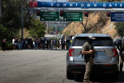 ICE agents, Department of Homeland Security, protestors, Dodger Stadium entrance