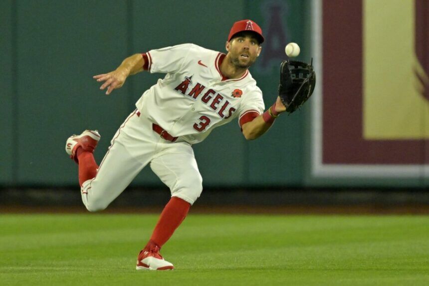 Chris Taylor