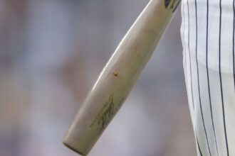 Yankees torpedo bat, bowling pin bat