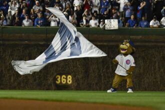 Cubs mascot Clark, Cubs win, Wrigley Field outfield wall